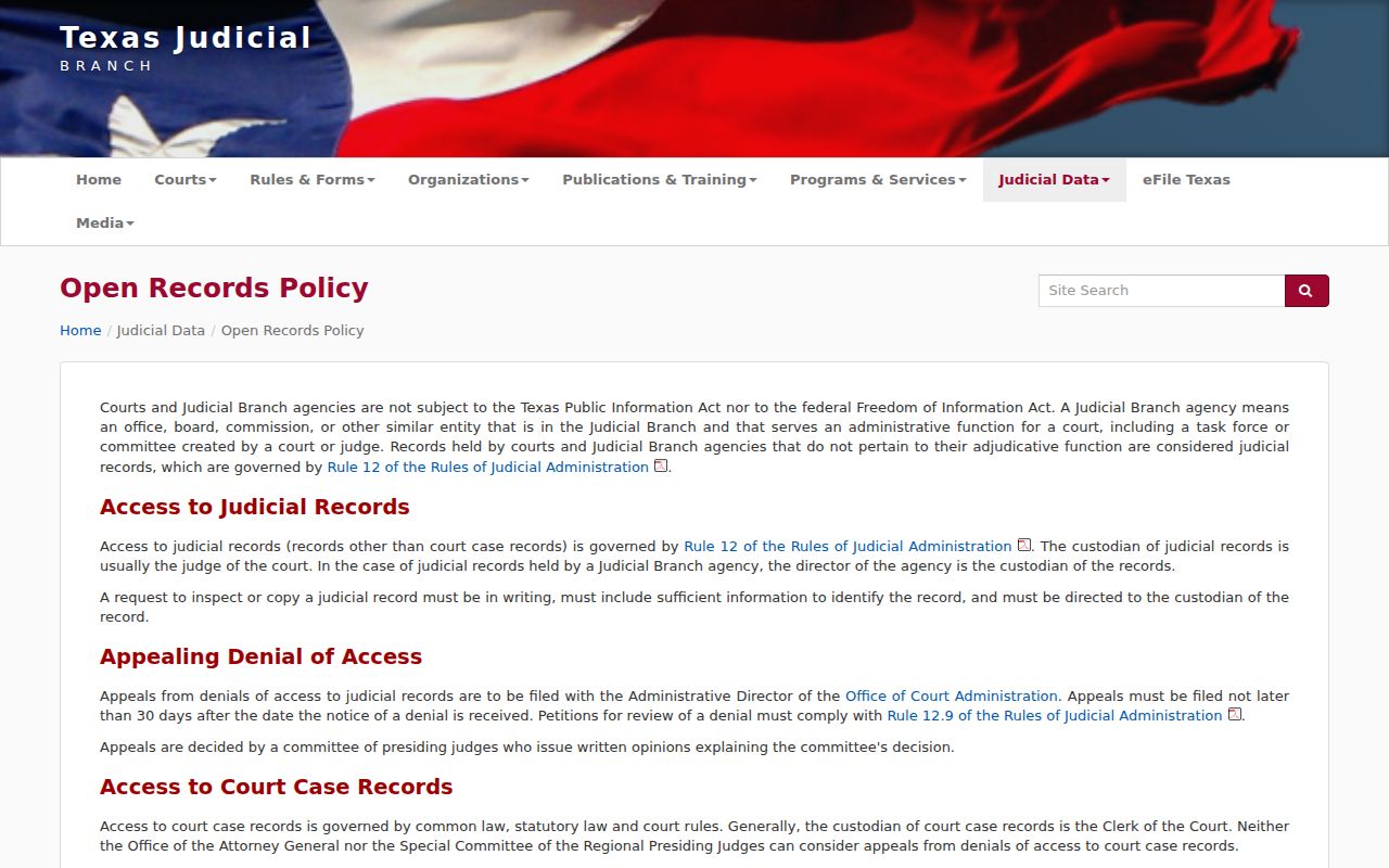 Parmer County court records access policy